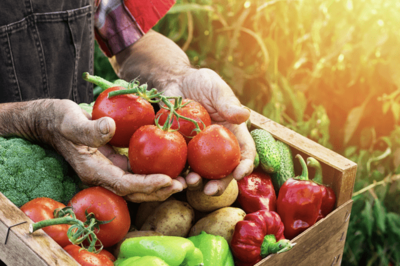 小目標定了！我國農產品加工業邁向32萬億新征程