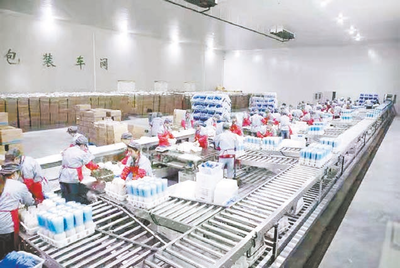 凝心聚力抓產業 厚積薄發富鄉村——農產品發展助力鄉村振興新路徑