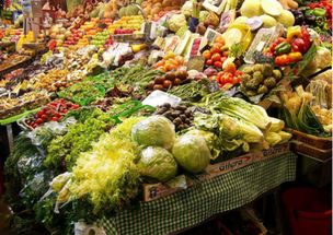 農村寶 打通產銷壁壘，為農產品打開財富新大門