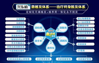 探索深圳植發(fā)補(bǔ)發(fā)技術(shù) 高清圖片揭示效果，北京科發(fā)源的投資管理視角