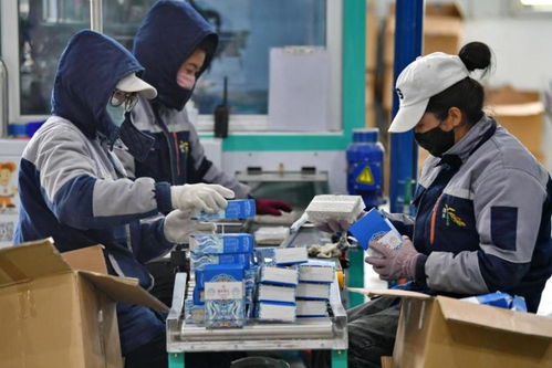 技術賦能，文化鑄魂 西藏傳統產業的創新轉型之路